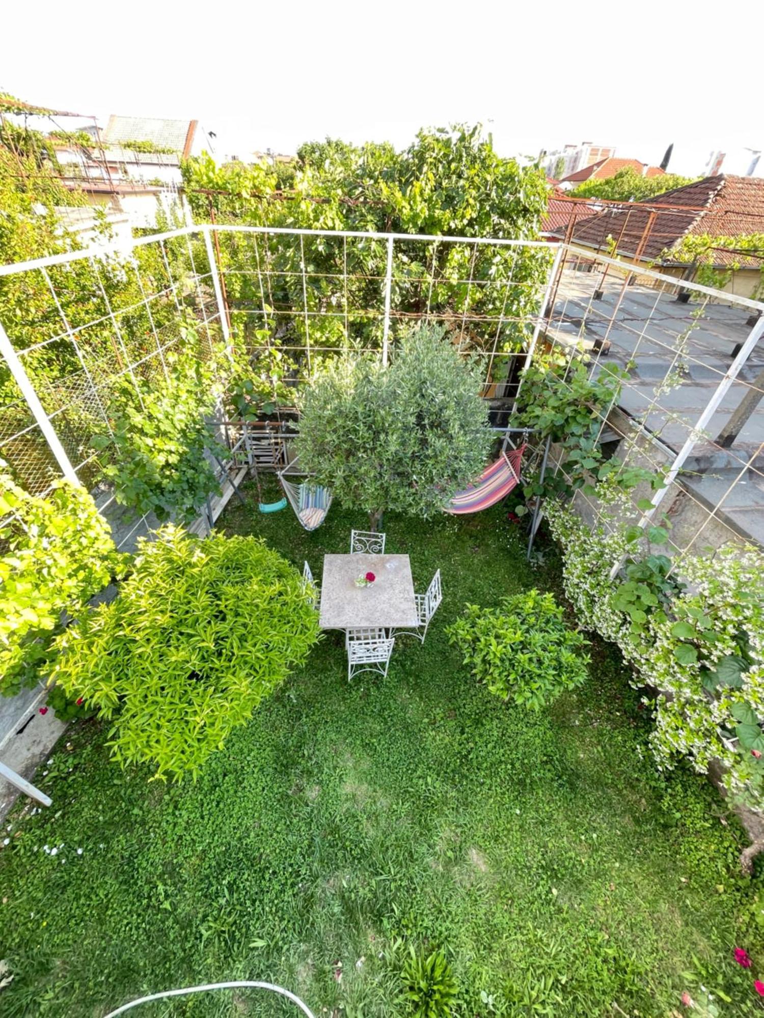 Vila Nela Shkodër 外观 照片