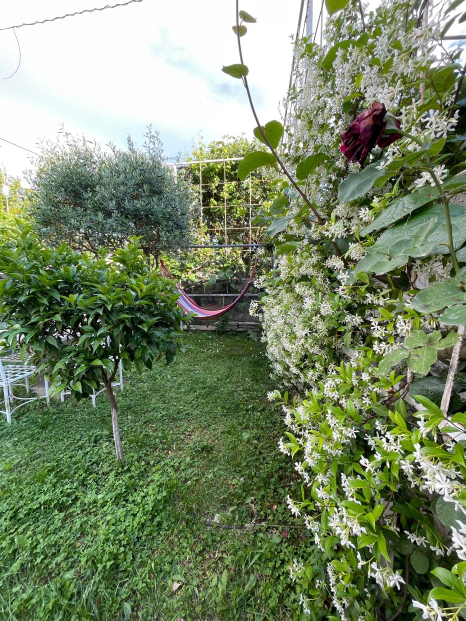 Vila Nela Shkodër 外观 照片