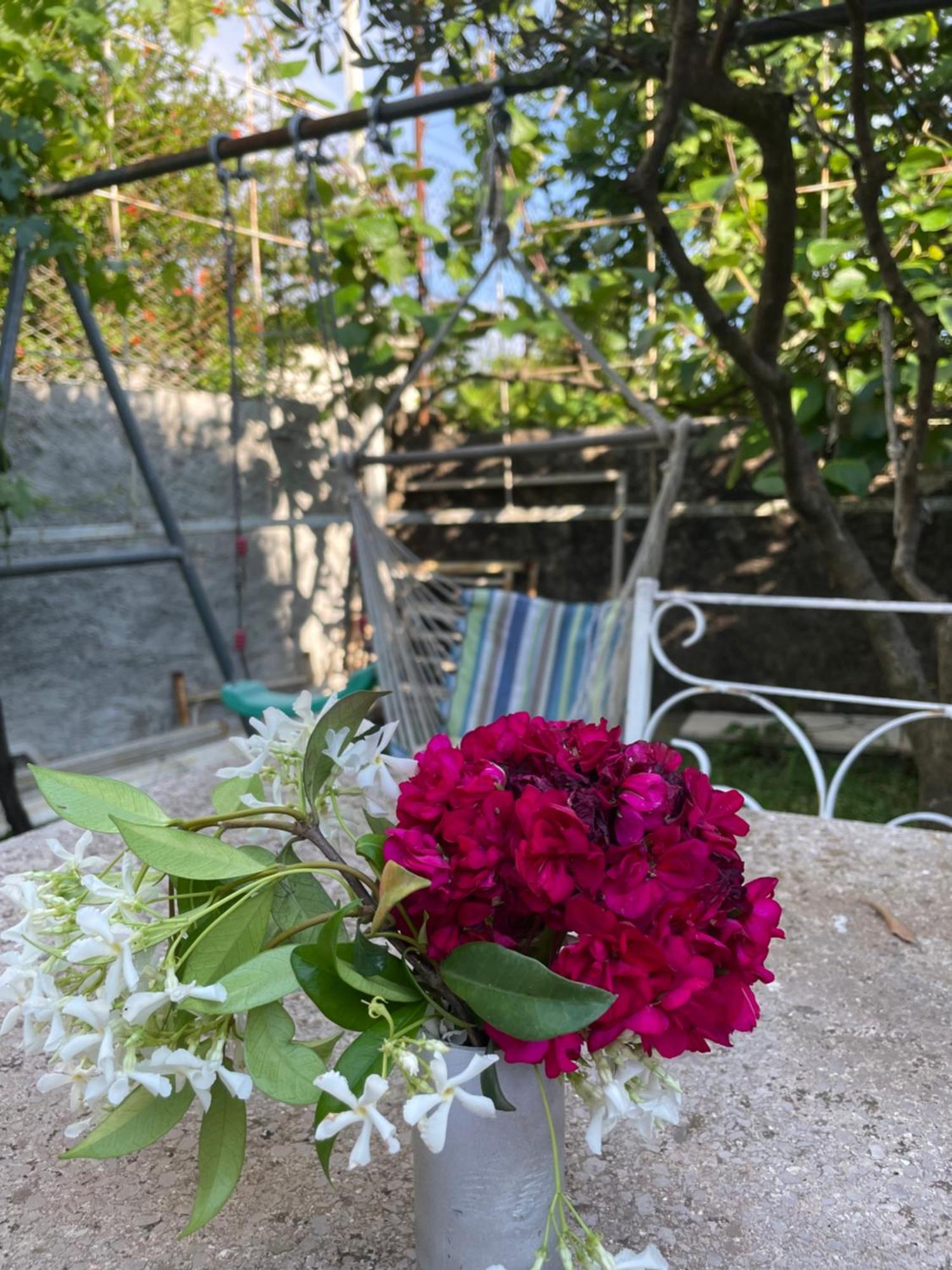 Vila Nela Shkodër 外观 照片