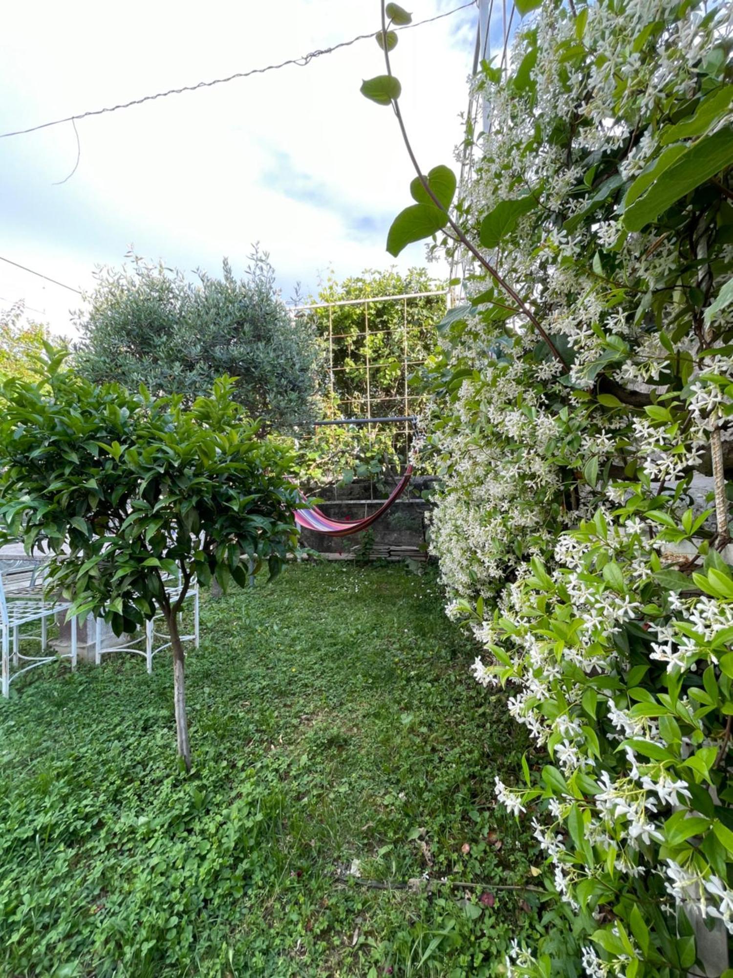 Vila Nela Shkodër 外观 照片