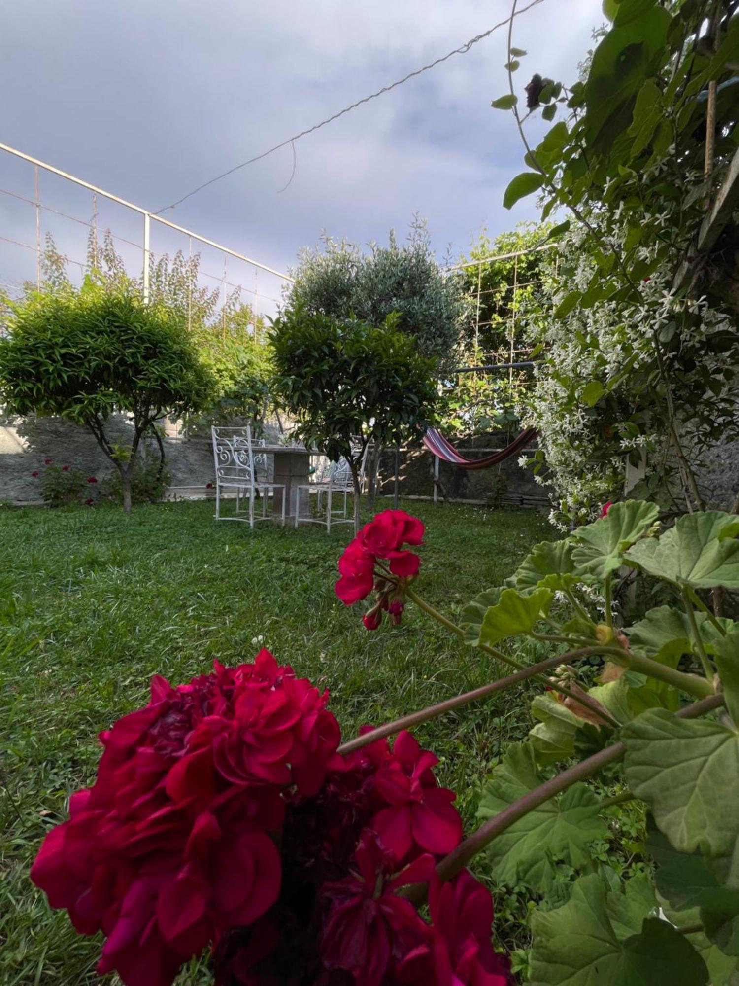 Vila Nela Shkodër 外观 照片