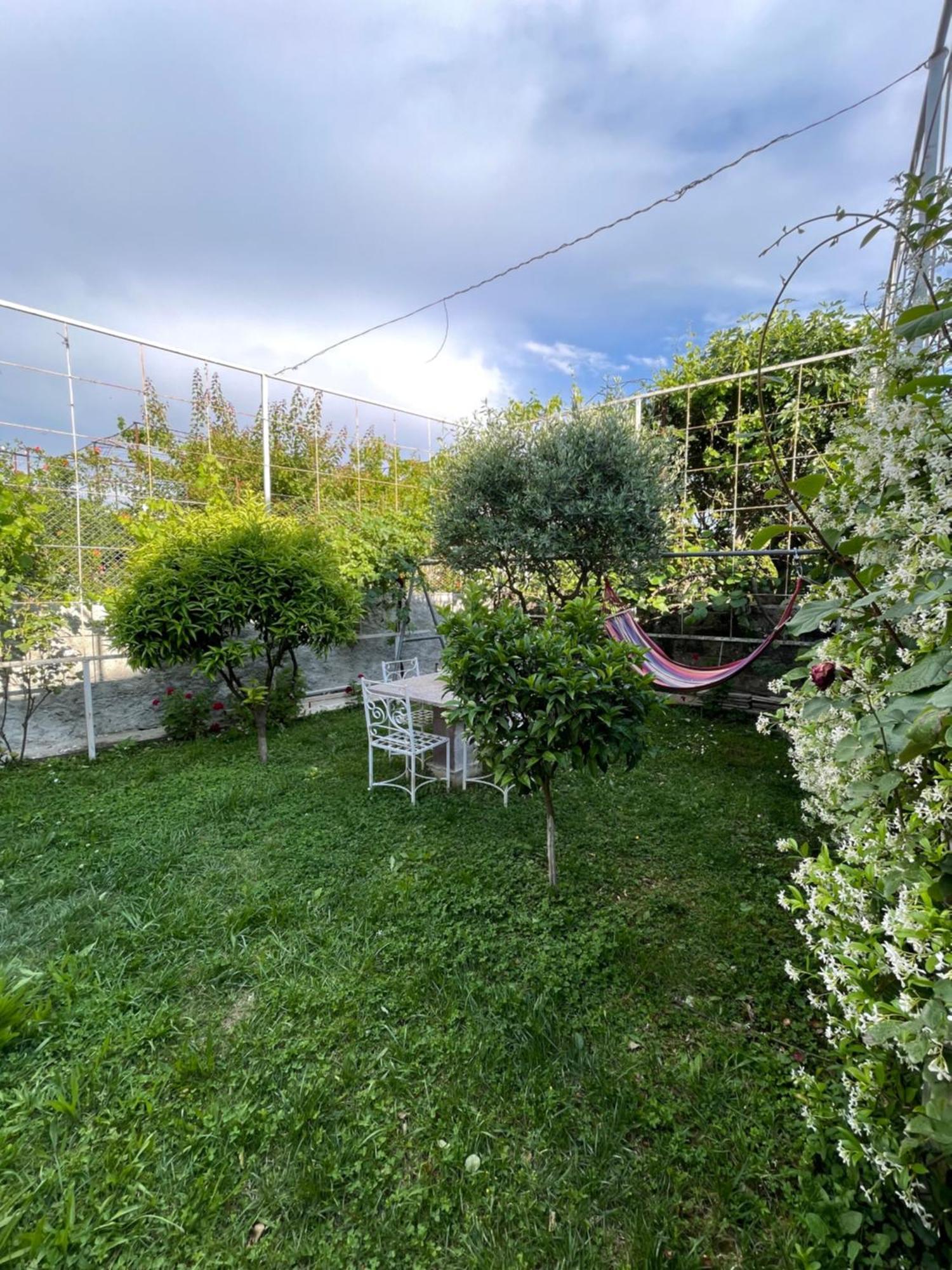 Vila Nela Shkodër 外观 照片