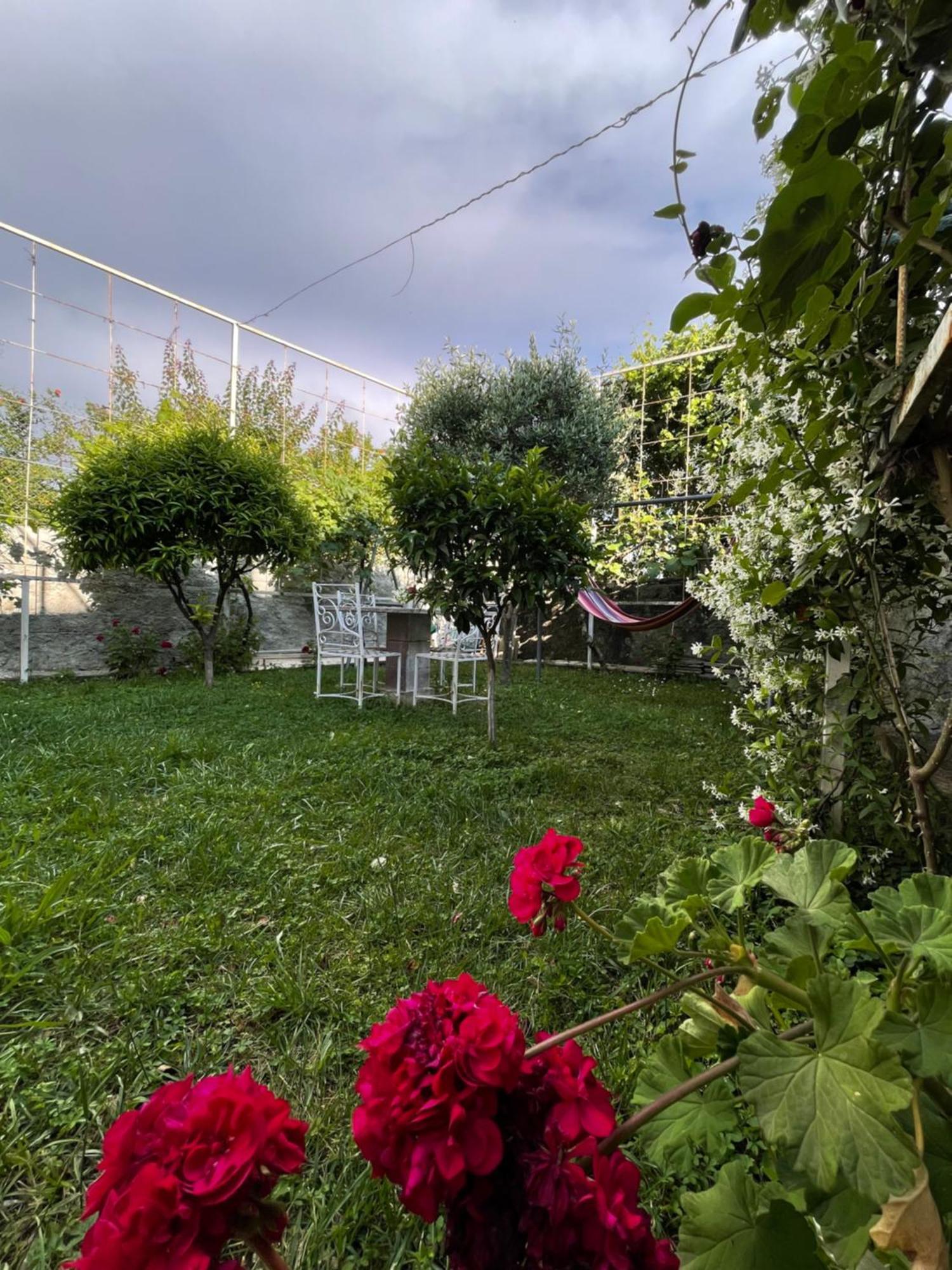 Vila Nela Shkodër 外观 照片